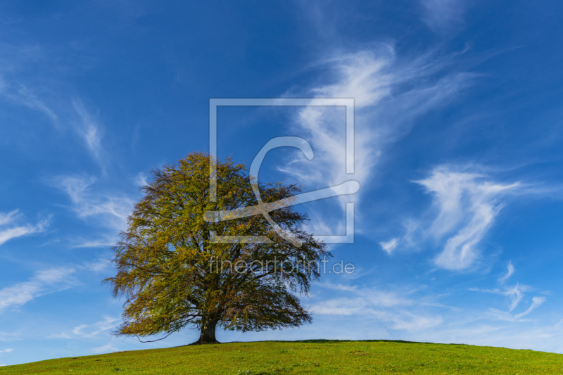 frei w&auml;hlbarer Bildausschnitt f&uuml;r Ihr Bild auf Untersetzer