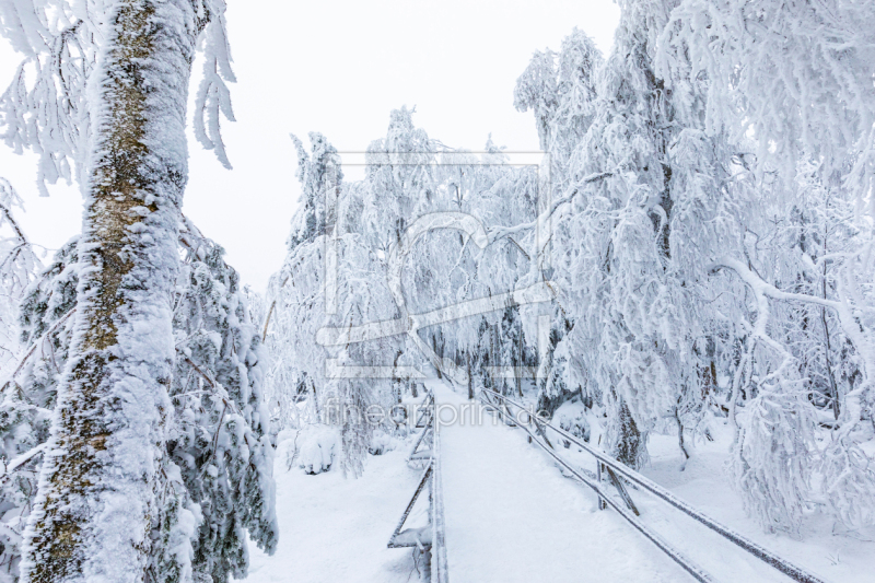 frei w&auml;hlbarer Bildausschnitt f&uuml;r Ihr Bild auf Untersetzer