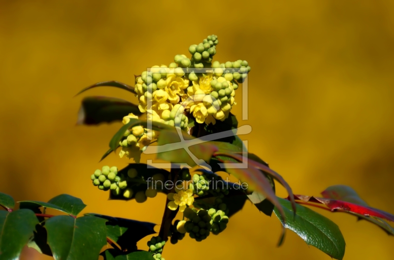 frei w&auml;hlbarer Bildausschnitt f&uuml;r Ihr Bild auf Untersetzer