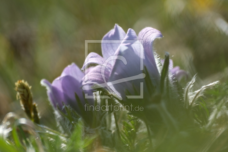 frei w&auml;hlbarer Bildausschnitt f&uuml;r Ihr Bild auf Untersetzer