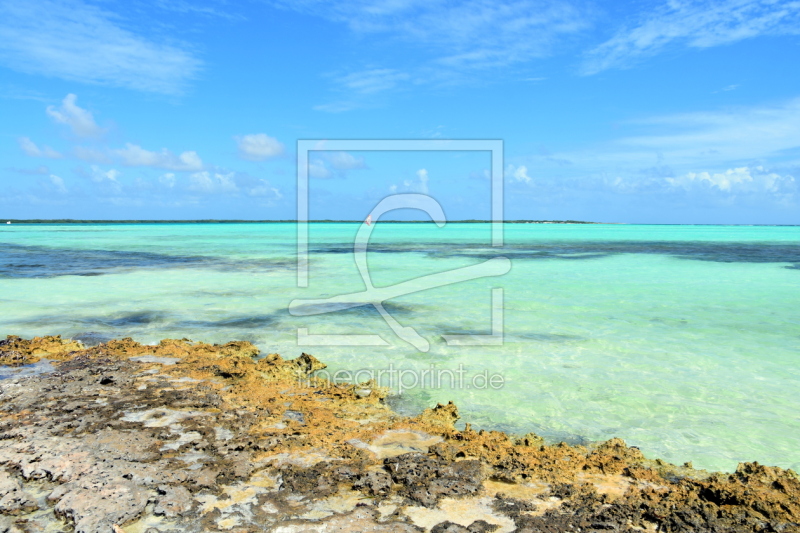 frei wählbarer Bildausschnitt für Ihr Bild auf Untersetzer