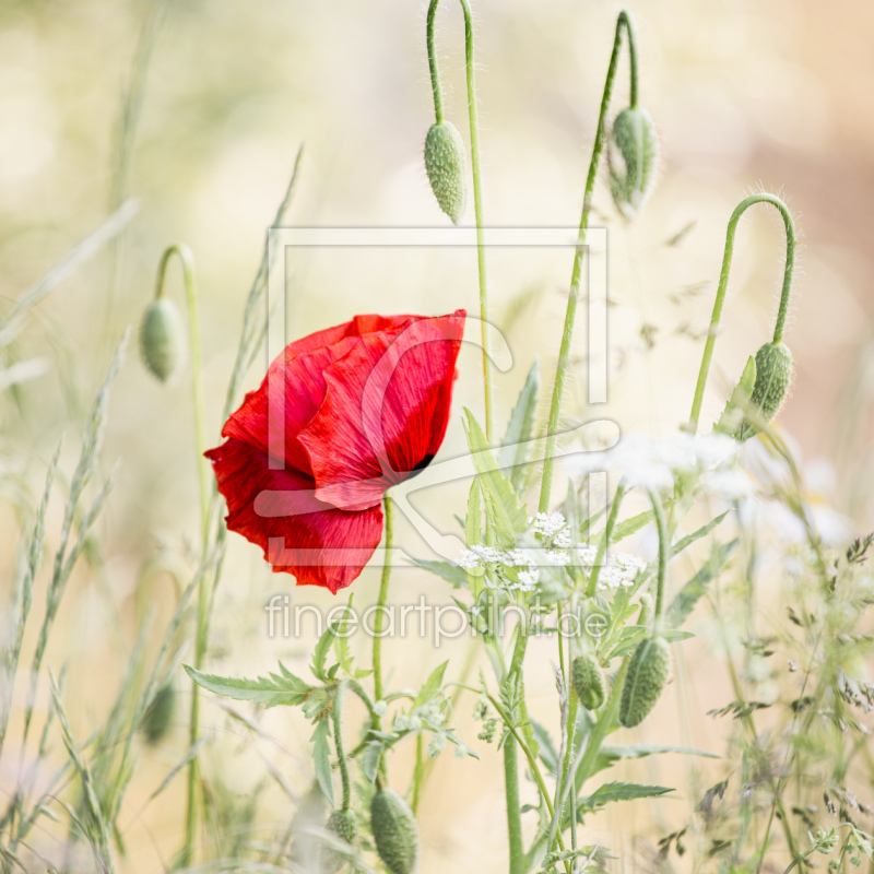 frei w&auml;hlbarer Bildausschnitt f&uuml;r Ihr Bild auf Untersetzer