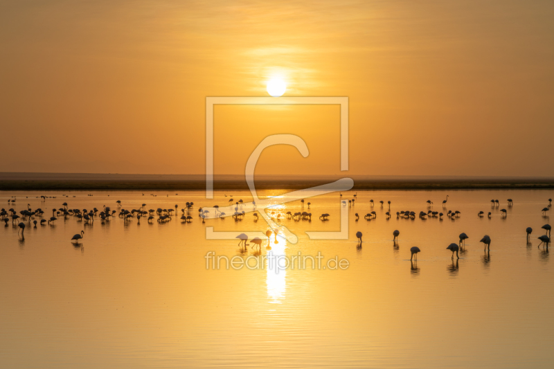 frei w&auml;hlbarer Bildausschnitt f&uuml;r Ihr Bild auf Untersetzer