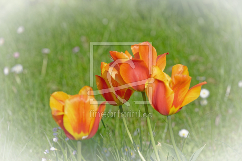 frei w&auml;hlbarer Bildausschnitt f&uuml;r Ihr Bild auf Untersetzer