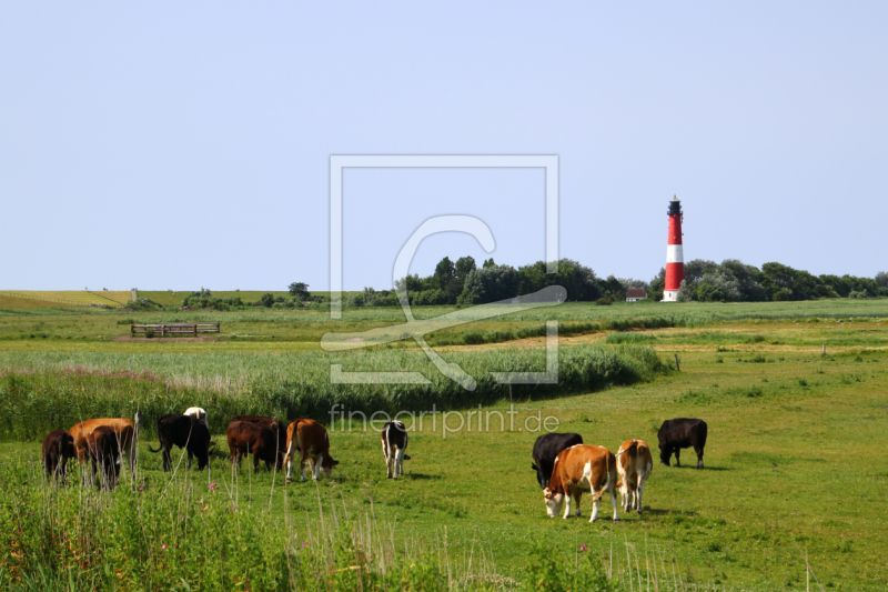 frei w&auml;hlbarer Bildausschnitt f&uuml;r Ihr Bild auf Untersetzer