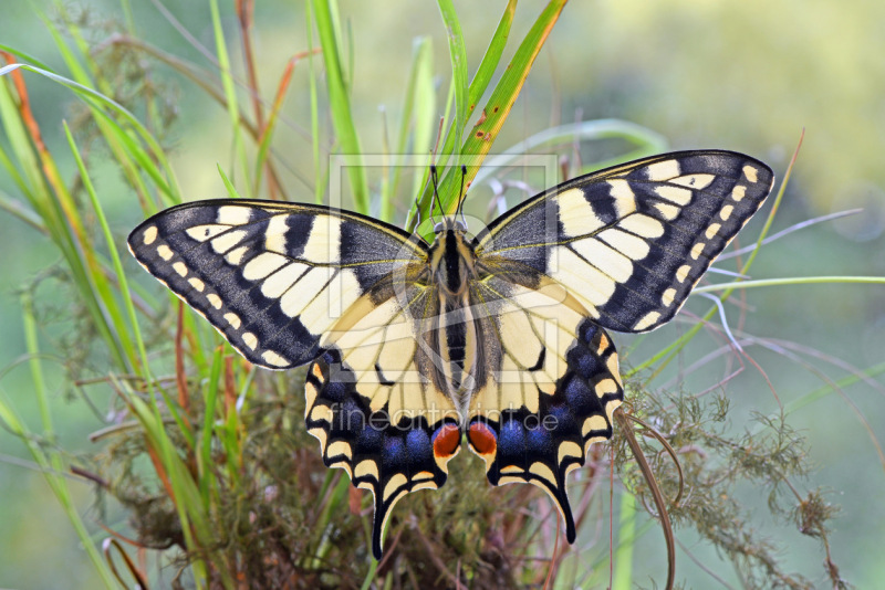 frei w&auml;hlbarer Bildausschnitt f&uuml;r Ihr Bild auf Untersetzer