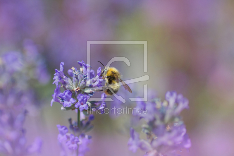 frei w&auml;hlbarer Bildausschnitt f&uuml;r Ihr Bild auf Untersetzer