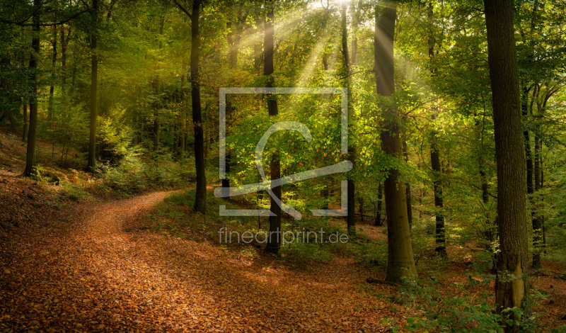 frei wählbarer Bildausschnitt für Ihr Bild auf Untersetzer