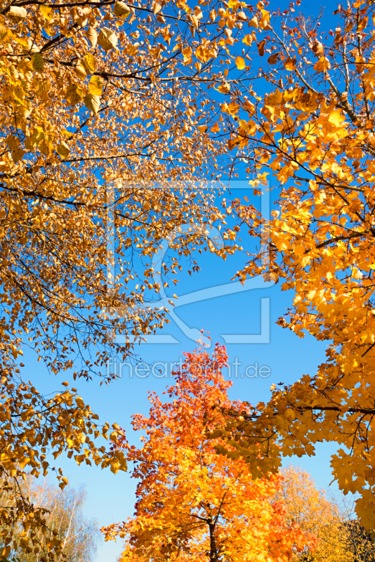 frei wählbarer Bildausschnitt für Ihr Bild auf Untersetzer