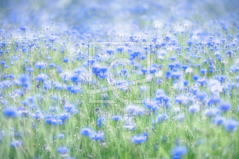 frei w&auml;hlbarer Bildausschnitt f&uuml;r Ihr Bild auf Untersetzer