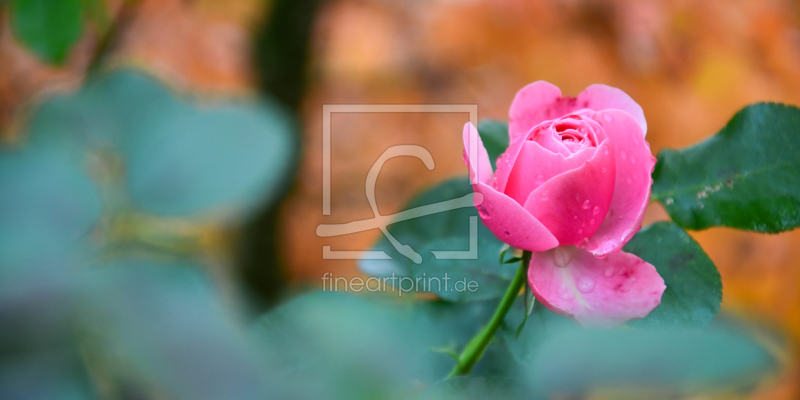 frei wählbarer Bildausschnitt für Ihr Bild auf Untersetzer