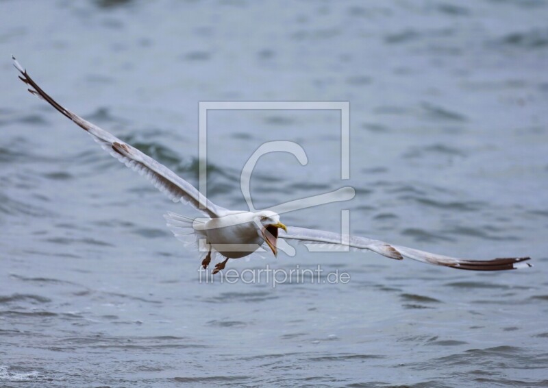 frei wählbarer Bildausschnitt für Ihr Bild auf Untersetzer