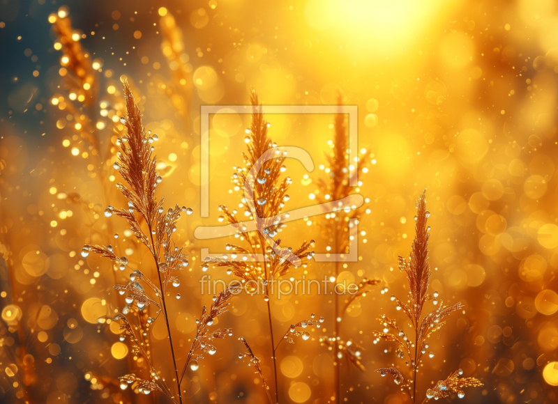 frei w&auml;hlbarer Bildausschnitt f&uuml;r Ihr Bild auf Untersetzer