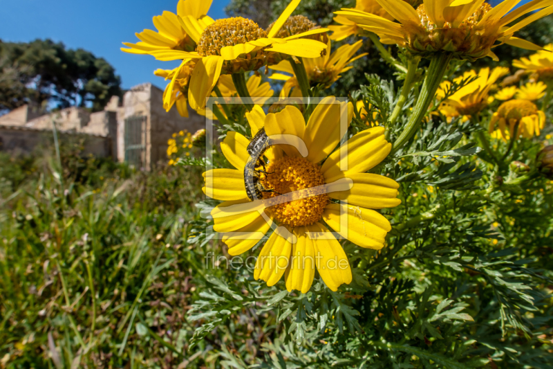 frei w&auml;hlbarer Bildausschnitt f&uuml;r Ihr Bild auf Untersetzer