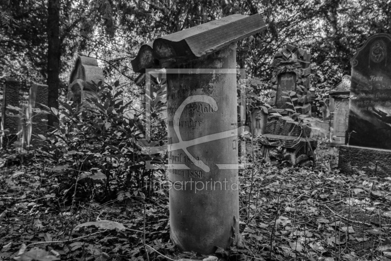 frei wählbarer Bildausschnitt für Ihr Bild auf Untersetzer