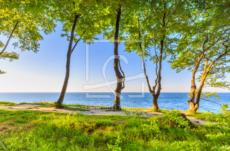 frei wählbarer Bildausschnitt für Ihr Bild auf Untersetzer