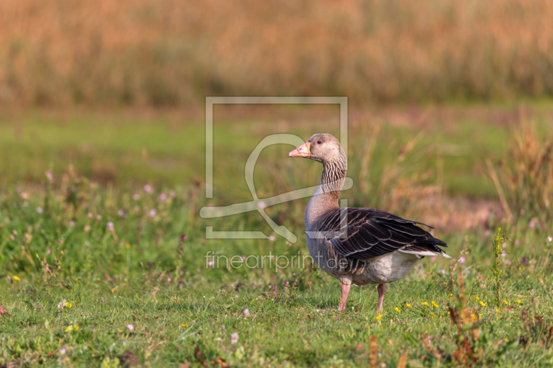 frei wählbarer Bildausschnitt für Ihr Bild auf Untersetzer