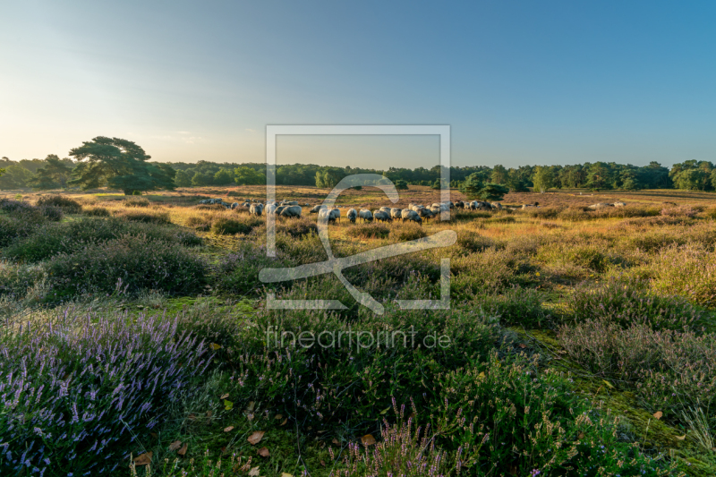 frei wählbarer Bildausschnitt für Ihr Bild auf Untersetzer