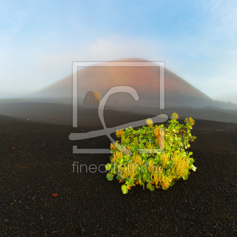 frei wählbarer Bildausschnitt für Ihr Bild auf Untersetzer