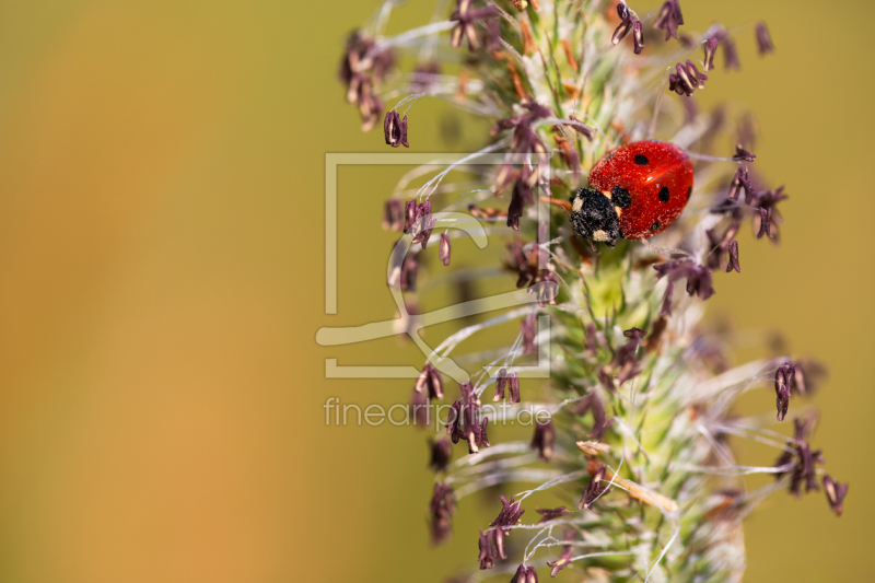 frei w&auml;hlbarer Bildausschnitt f&uuml;r Ihr Bild auf Untersetzer