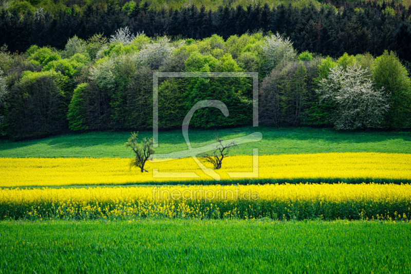 frei wählbarer Bildausschnitt für Ihr Bild auf Untersetzer