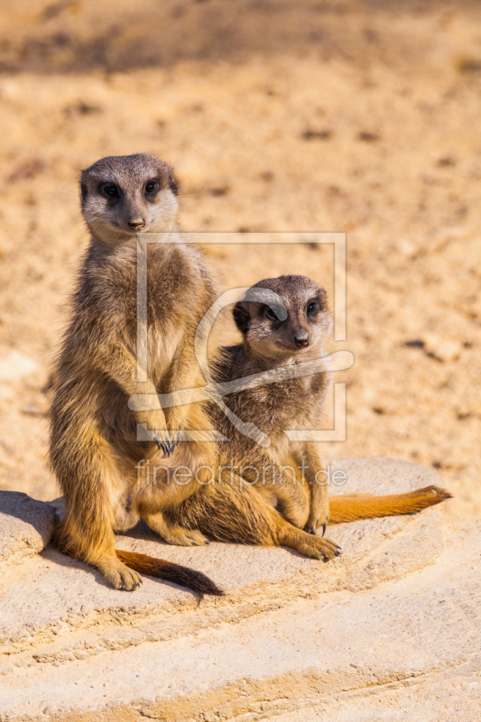 frei wählbarer Bildausschnitt für Ihr Bild auf Untersetzer