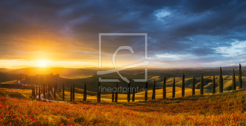 frei wählbarer Bildausschnitt für Ihr Bild auf Untersetzer