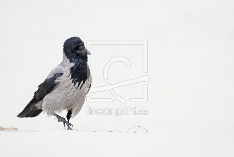 frei wählbarer Bildausschnitt für Ihr Bild auf Untersetzer