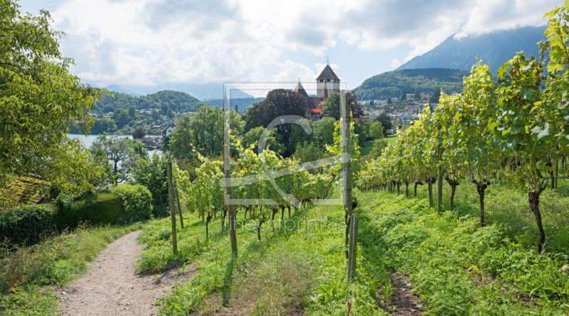 frei wählbarer Bildausschnitt für Ihr Bild auf Untersetzer