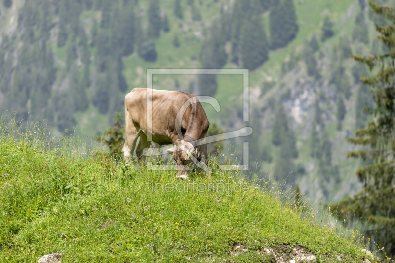 frei wählbarer Bildausschnitt für Ihr Bild auf Untersetzer