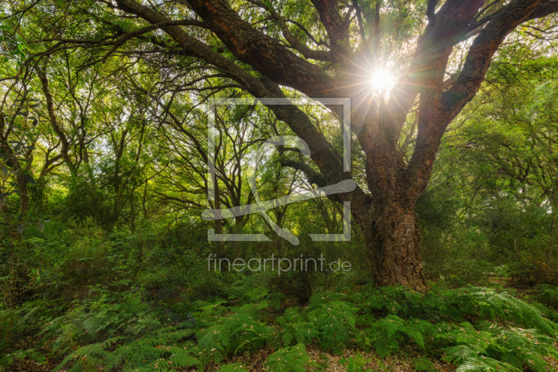 frei w&auml;hlbarer Bildausschnitt f&uuml;r Ihr Bild auf Untersetzer