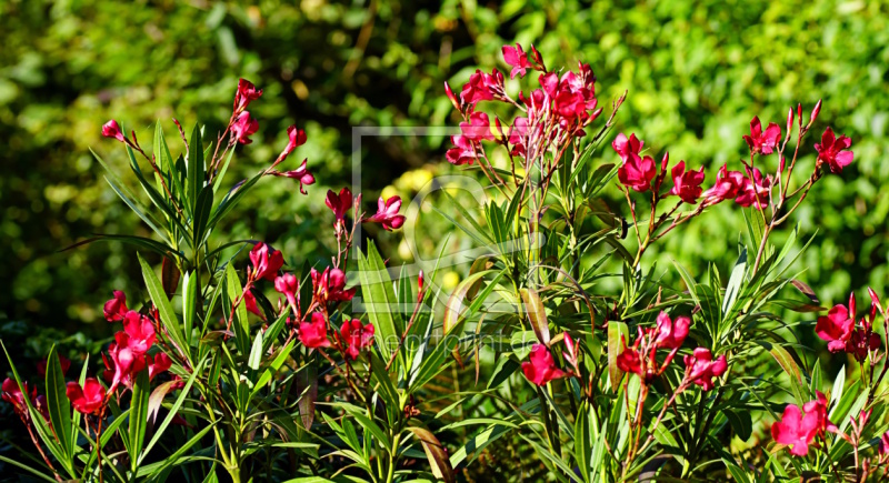 frei w&auml;hlbarer Bildausschnitt f&uuml;r Ihr Bild auf Untersetzer