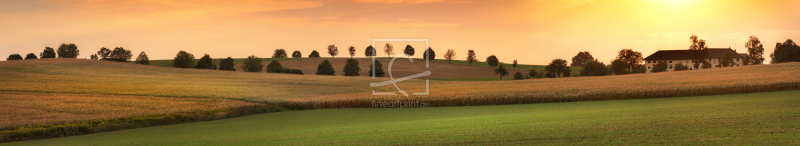 frei w&auml;hlbarer Bildausschnitt f&uuml;r Ihr Bild auf Untersetzer
