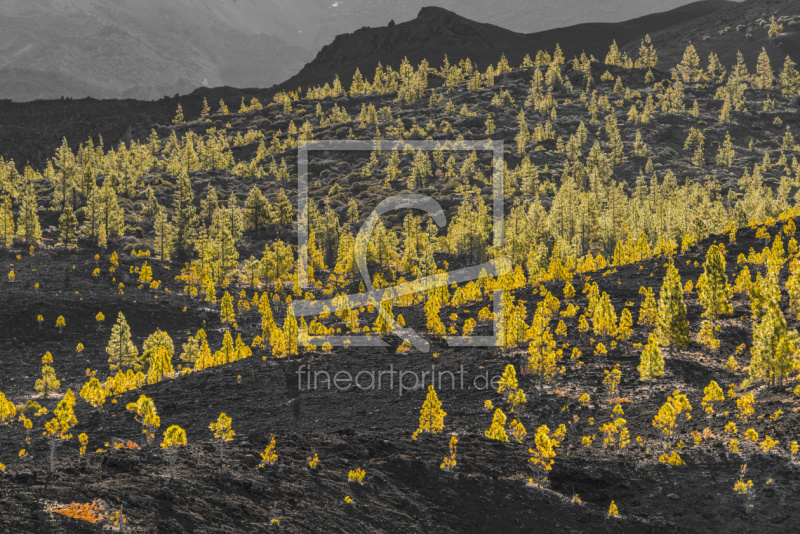 frei w&auml;hlbarer Bildausschnitt f&uuml;r Ihr Bild auf Untersetzer