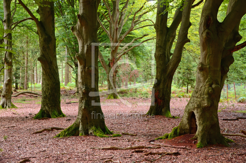 frei w&auml;hlbarer Bildausschnitt f&uuml;r Ihr Bild auf Untersetzer