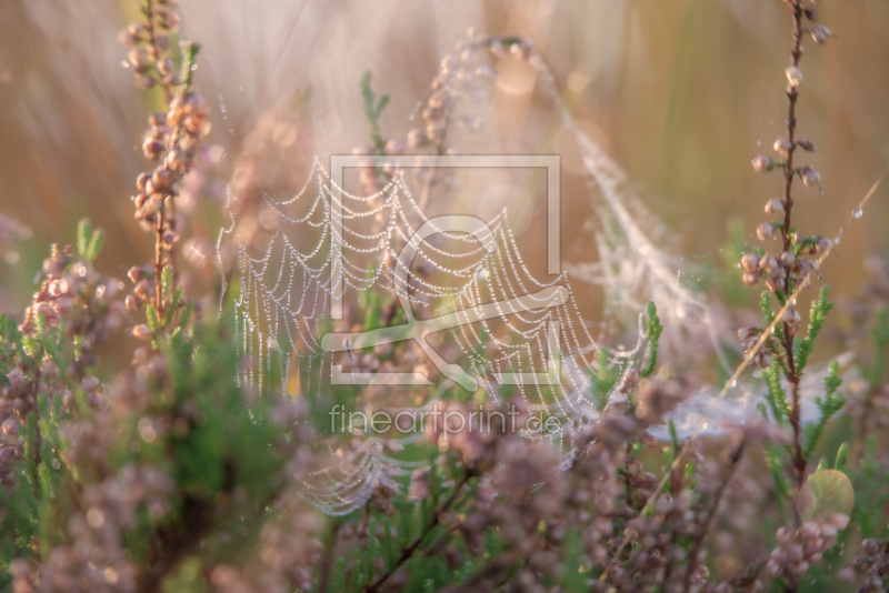 frei w&auml;hlbarer Bildausschnitt f&uuml;r Ihr Bild auf Untersetzer