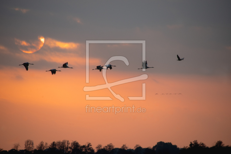 frei wählbarer Bildausschnitt für Ihr Bild auf Untersetzer