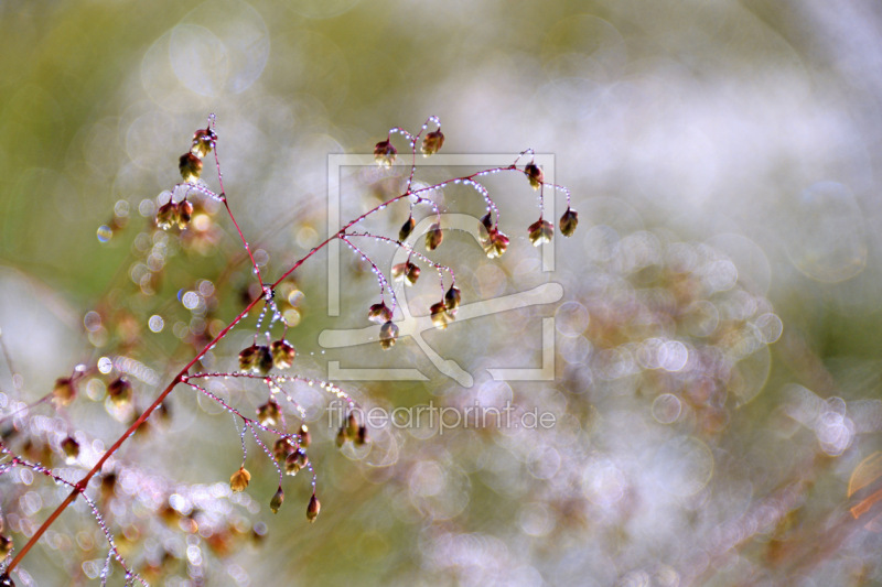 frei w&auml;hlbarer Bildausschnitt f&uuml;r Ihr Bild auf Untersetzer
