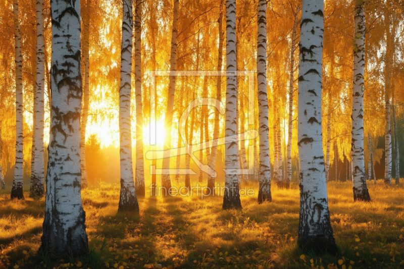 frei w&auml;hlbarer Bildausschnitt f&uuml;r Ihr Bild auf Untersetzer