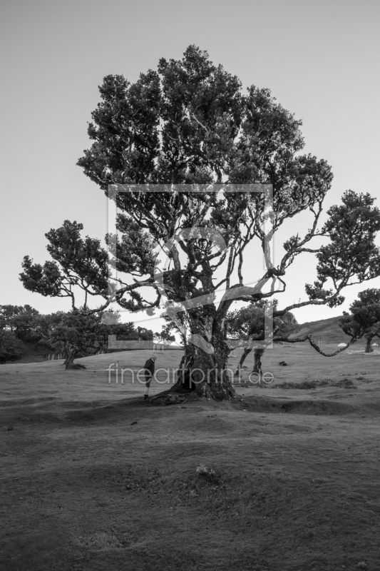 frei wählbarer Bildausschnitt für Ihr Bild auf Untersetzer