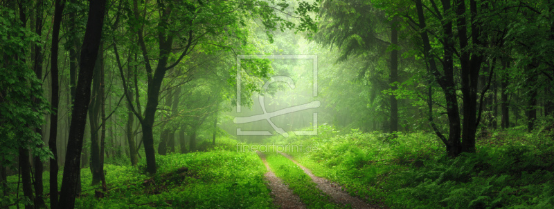 frei w&auml;hlbarer Bildausschnitt f&uuml;r Ihr Bild auf Untersetzer