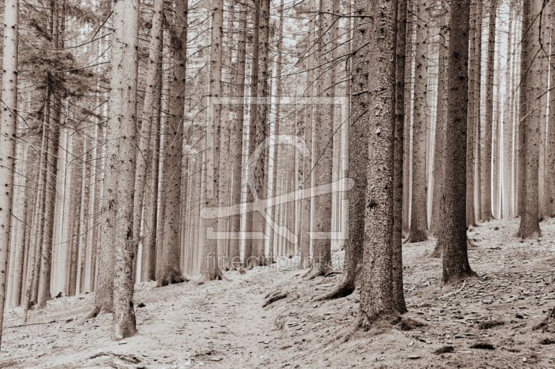 frei wählbarer Bildausschnitt für Ihr Bild auf Untersetzer