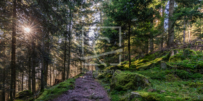 frei w&auml;hlbarer Bildausschnitt f&uuml;r Ihr Bild auf Untersetzer