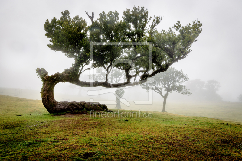 frei wählbarer Bildausschnitt für Ihr Bild auf Untersetzer