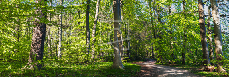 frei w&auml;hlbarer Bildausschnitt f&uuml;r Ihr Bild auf Untersetzer