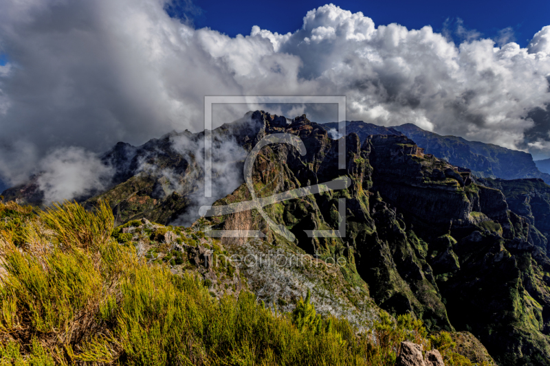 frei w&auml;hlbarer Bildausschnitt f&uuml;r Ihr Bild auf Untersetzer
