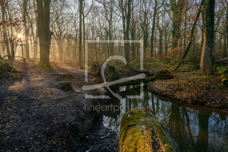 frei w&auml;hlbarer Bildausschnitt f&uuml;r Ihr Bild auf Untersetzer