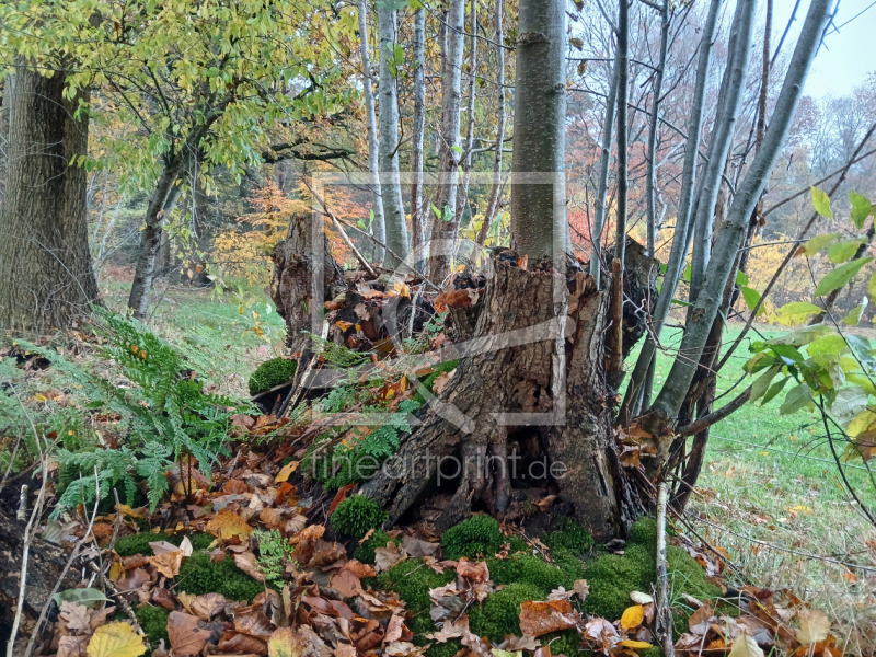 frei wählbarer Bildausschnitt für Ihr Bild auf Untersetzer