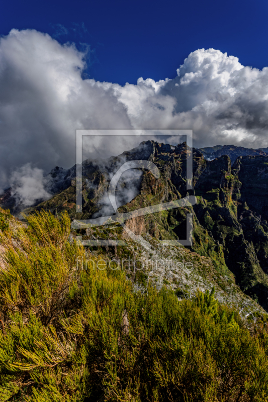 frei w&auml;hlbarer Bildausschnitt f&uuml;r Ihr Bild auf Untersetzer