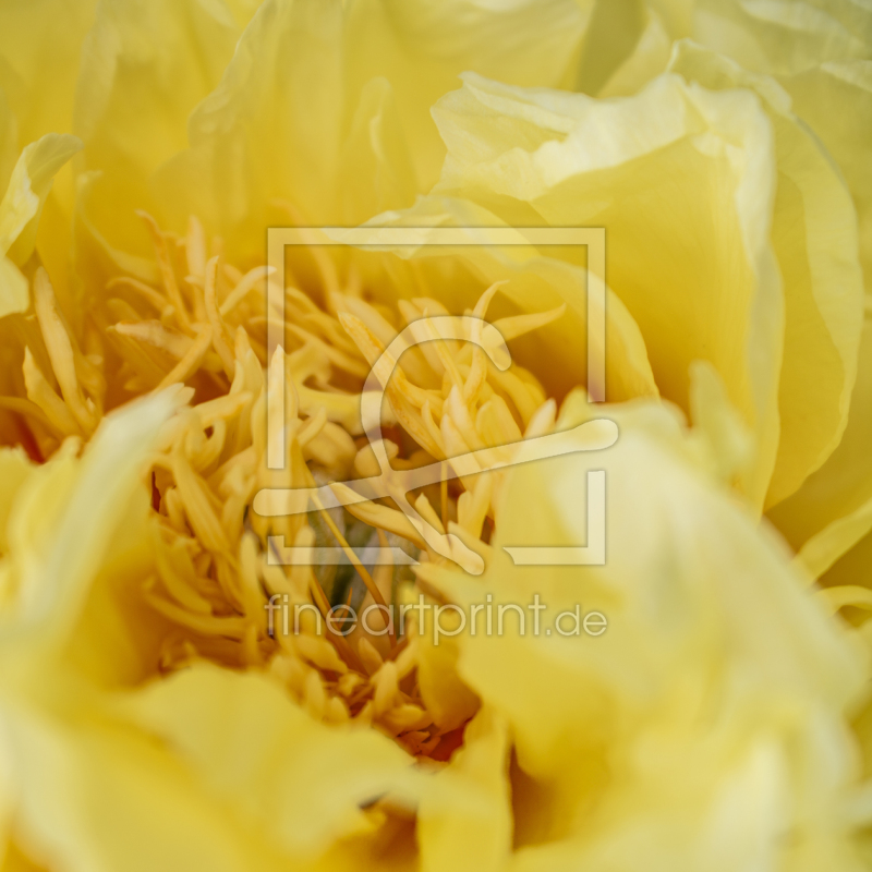 frei w&auml;hlbarer Bildausschnitt f&uuml;r Ihr Bild auf Untersetzer